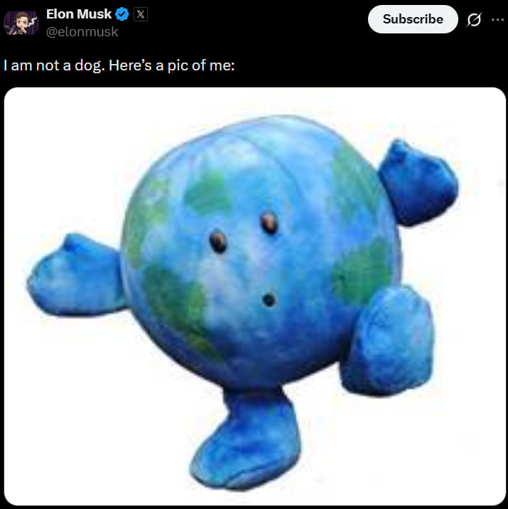 I am not a dog. Here's a pic of me: